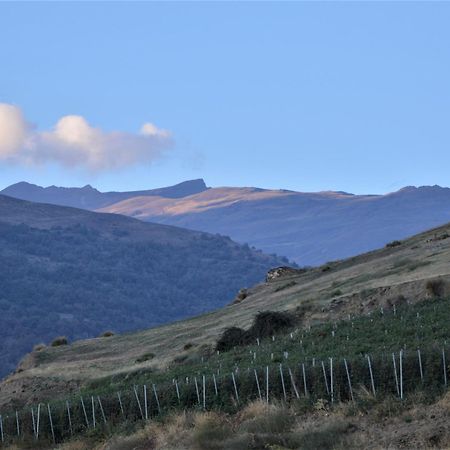 Hotel Rural Alfajia De Antonio Capileira Εξωτερικό φωτογραφία
