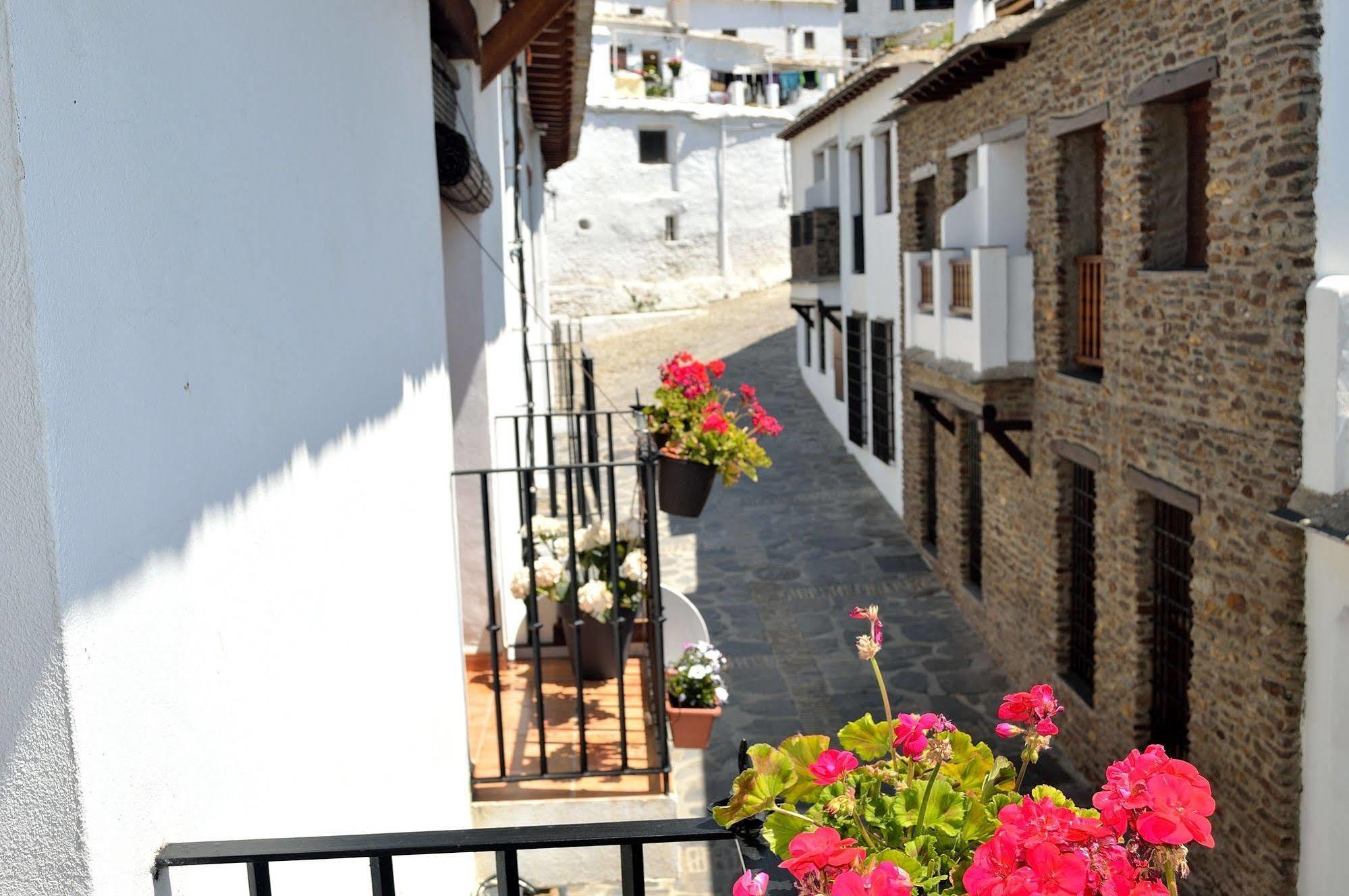 Hotel Rural Alfajia De Antonio Capileira Εξωτερικό φωτογραφία